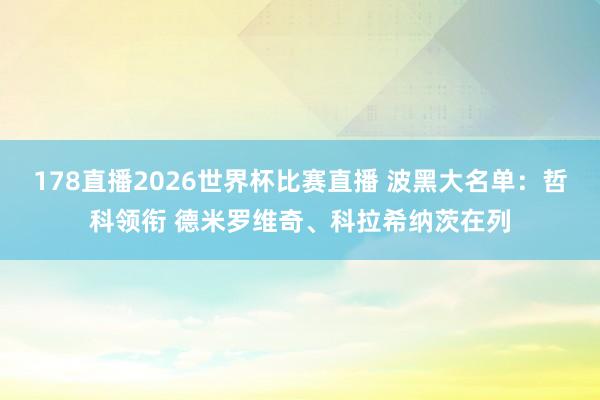 178直播2026世界杯比赛直播 波黑大名单：哲科领衔 德米罗维奇、科拉希纳茨在列