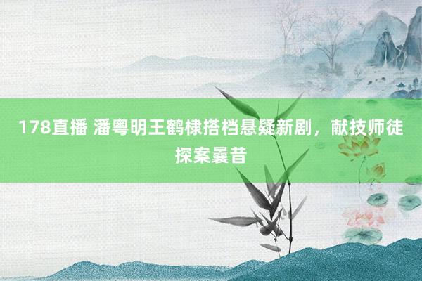 178直播 潘粤明王鹤棣搭档悬疑新剧,献技师徒探案曩昔