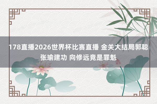 178直播2026世界杯比赛直播 金关大结局郭聪张瑜建功 向修远竟是罪魁