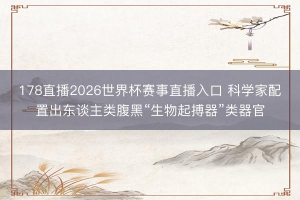 178直播2026世界杯赛事直播入口 科学家配置出东谈主类腹黑“生物起搏器”类器官